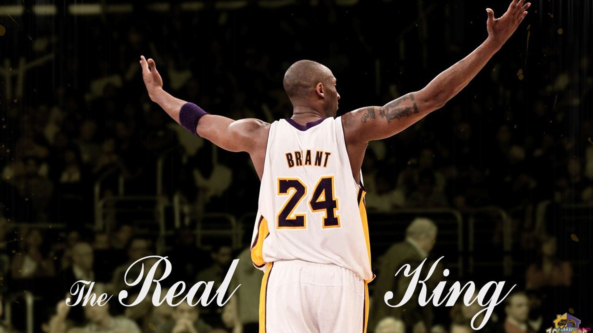 爱游戏在线娱乐官网-APEX英雄 青训营培养新秀成效明显，apex英雄训练营战术技能