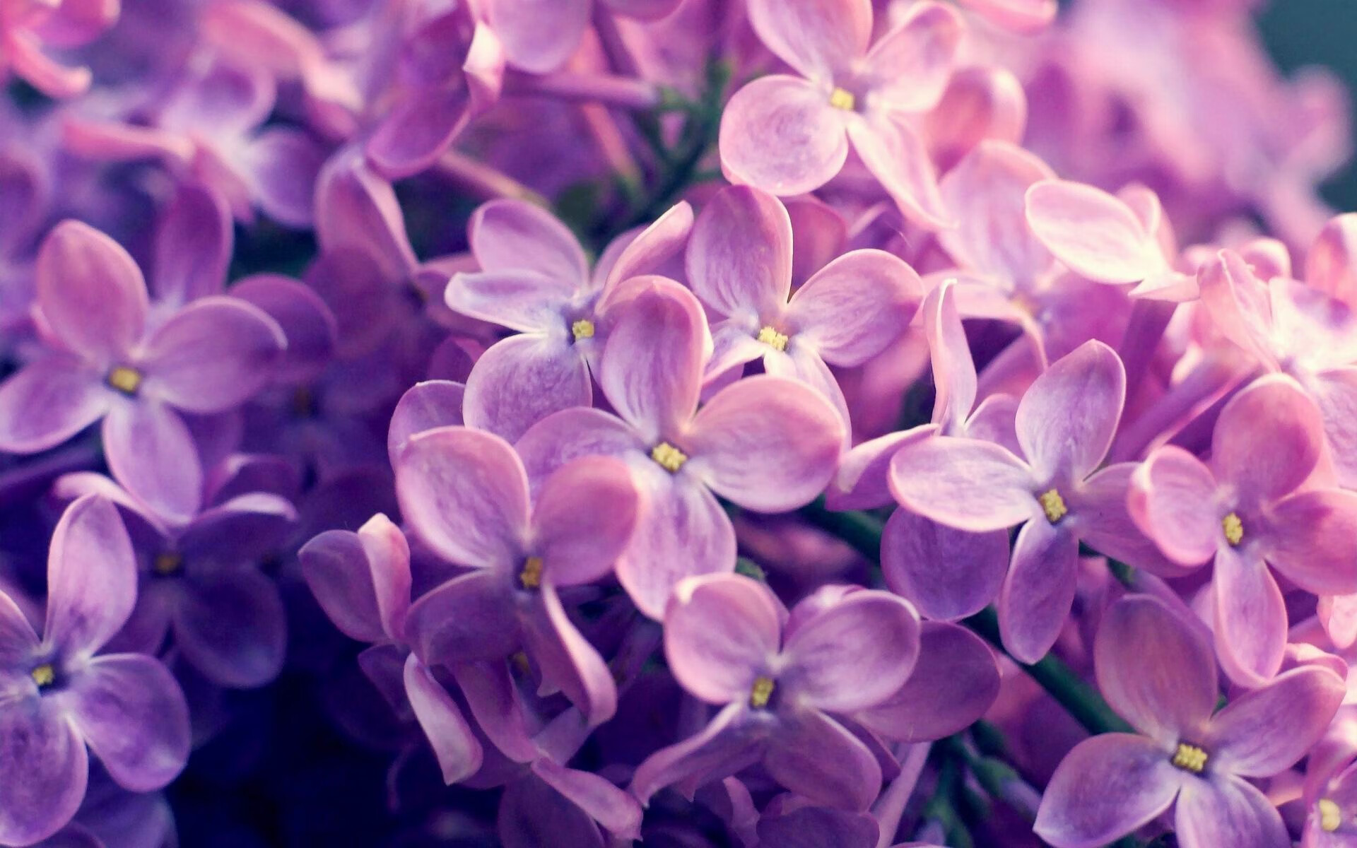 爱游戏 电竞-“意甲战局胶着，各大豪门争夺榜首榮誉”，意甲tim