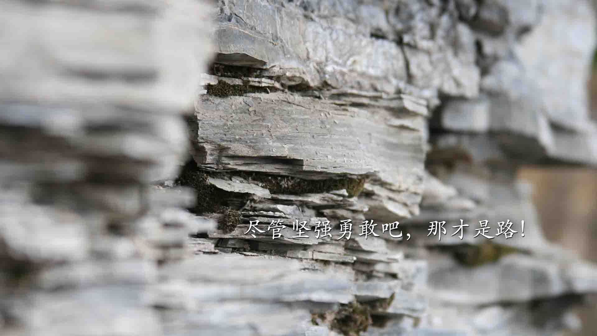 “英超球队奋勇拼搏,争夺高端欧战名额”,英超排名欧冠资格