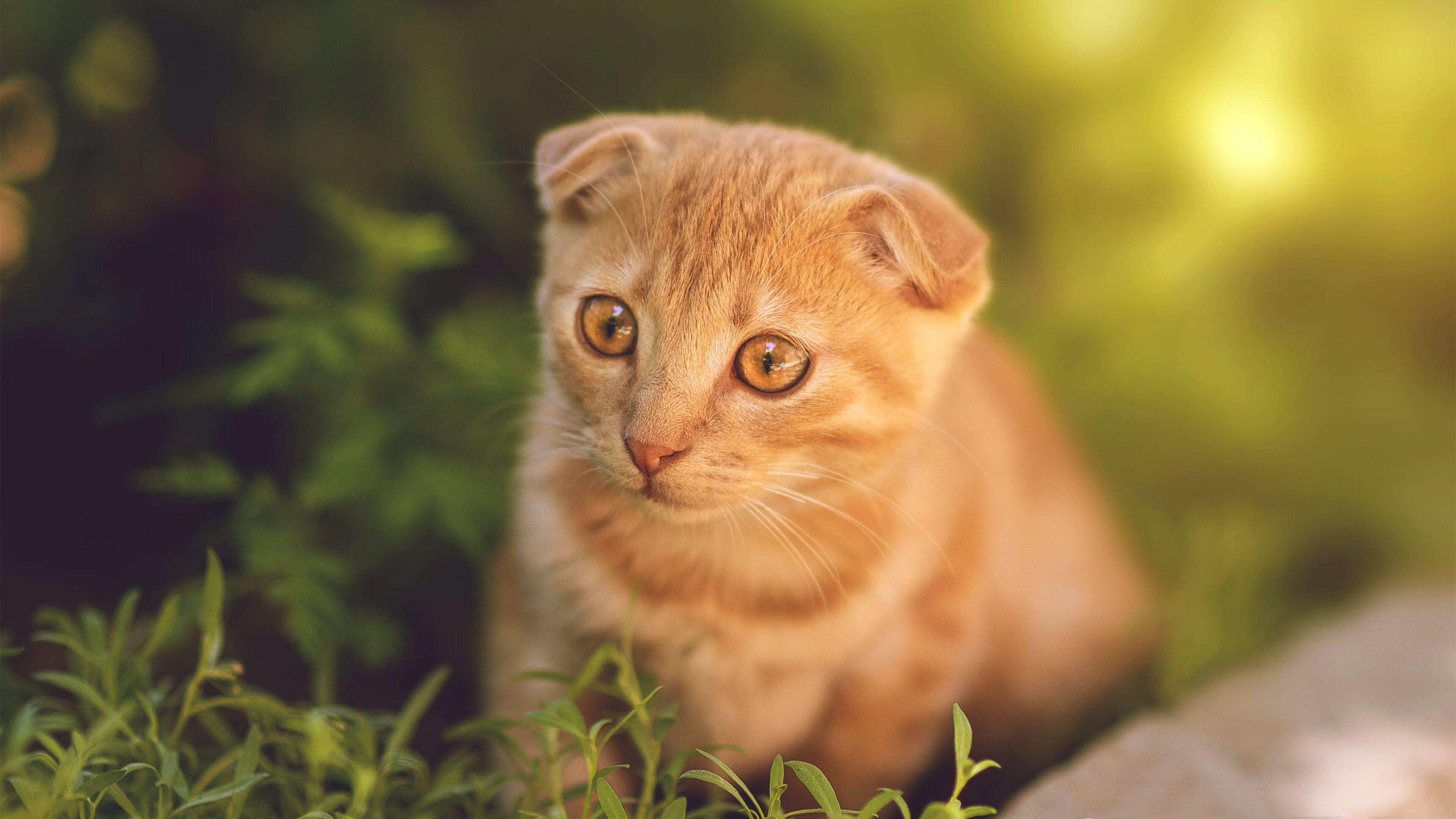 爱游戏娱乐平台-【运动员访谈】奥沙利文谈比赛中的罚分与犯规应对，奥沙利文享受比赛