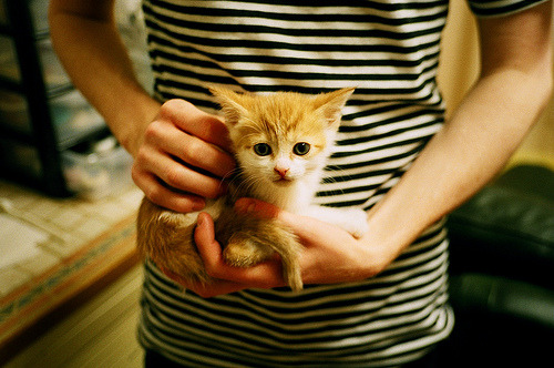 爱游戏体育app-中超南北大战火花四溅，球迷场外热情助威，中超北方球队有哪些