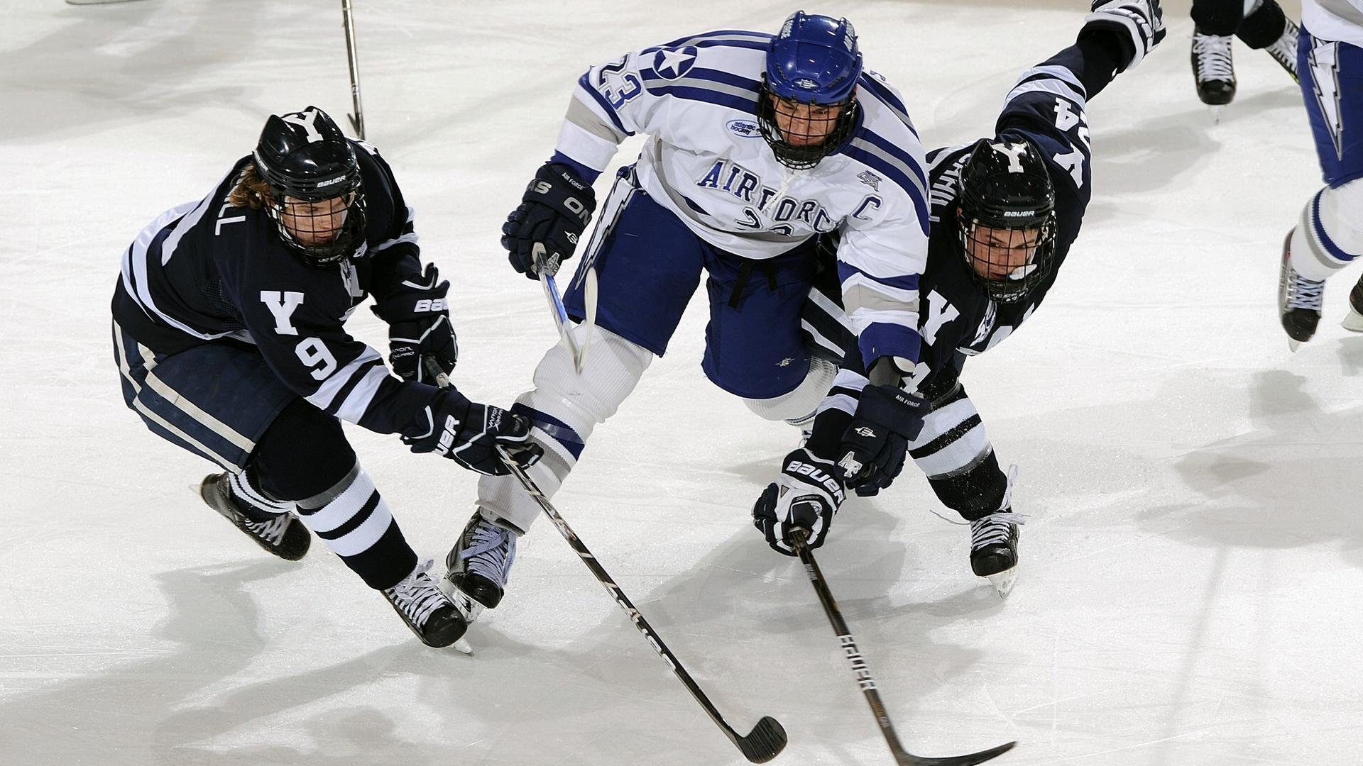 克罗地亚马术协会开展马匹福利宣传活动,提升公众意识。