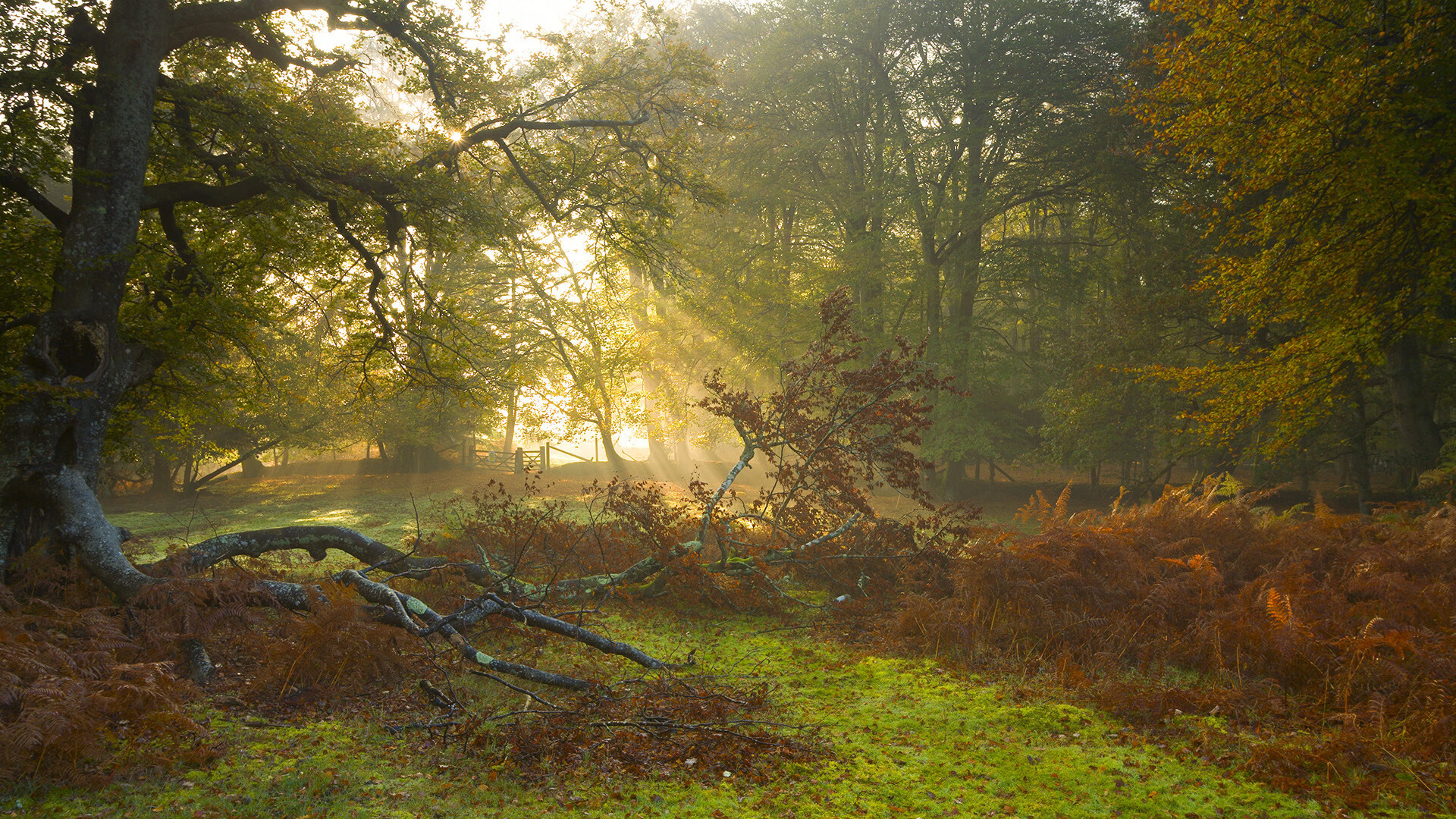 克罗地亚马术协会推出马术运动员健康管理系统，关注运动员身心健康。