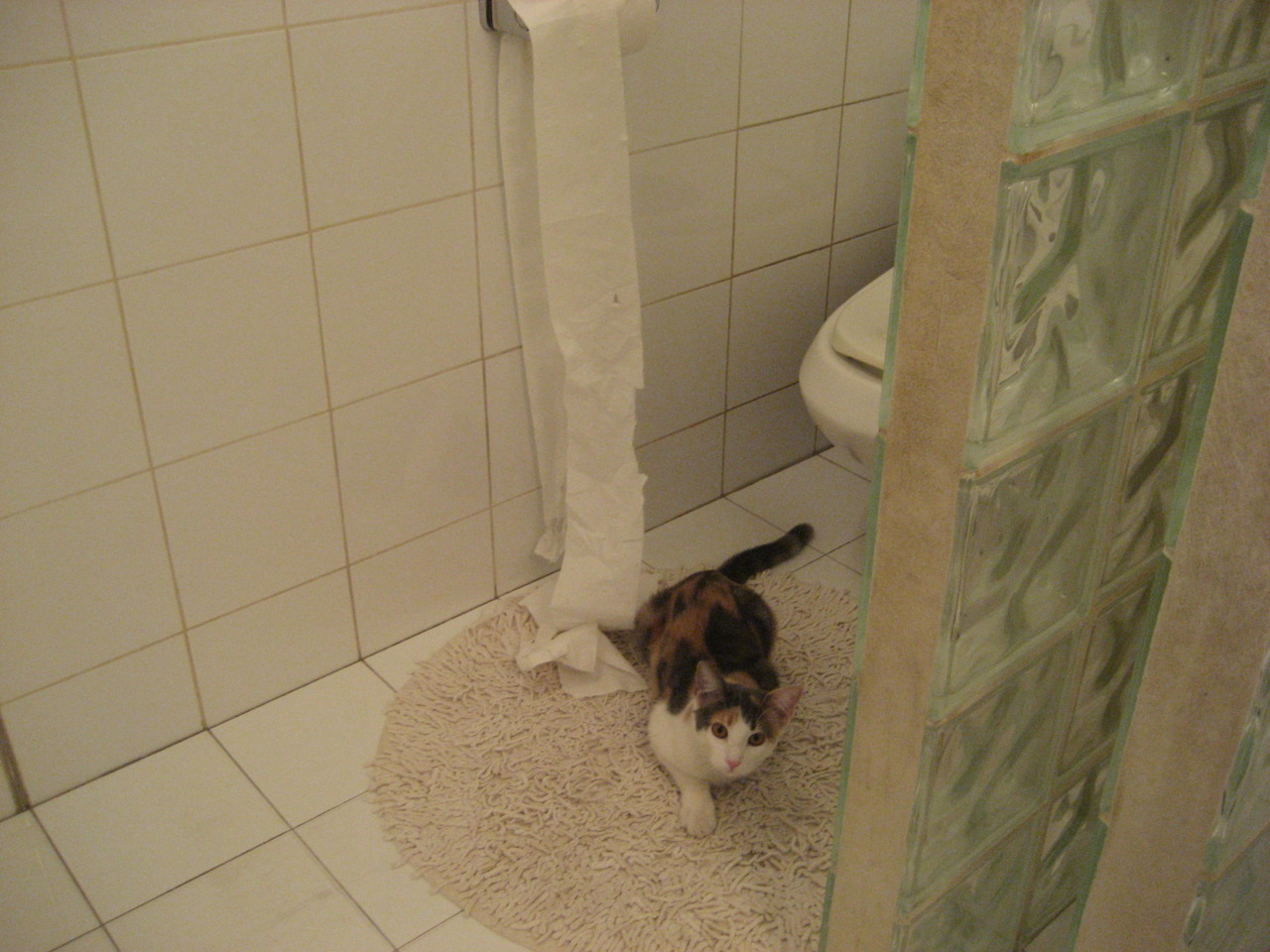 篮球训练营注重运动员个性化发展,篮球训练特色