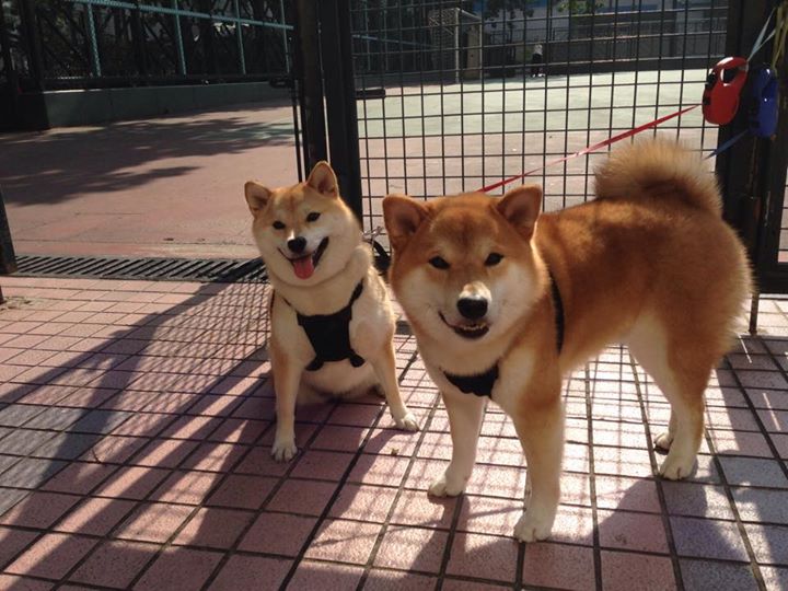 爱游戏体育（AYX）官方APP下载-EDG选手转会市场动态，edg2021转会