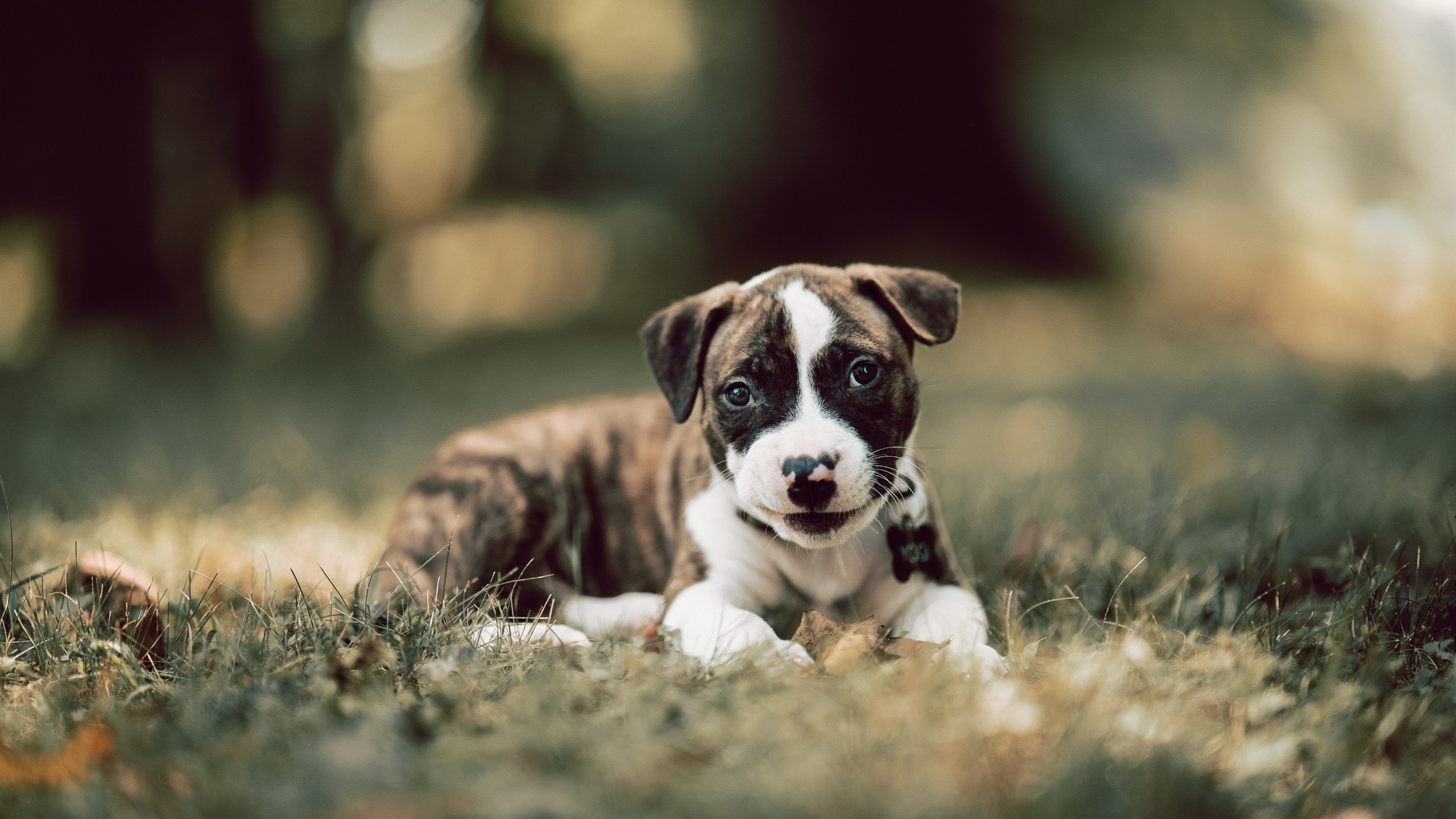 AYX体育-中超联赛的俱乐部运营策略分析实施方案，中超俱乐部所有者结构