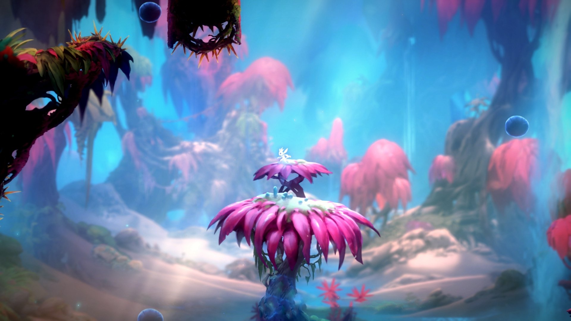 中超联赛的未来发展趋势,2021中超球队变化