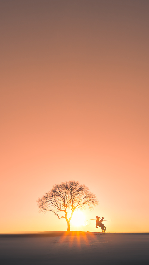 广场舞与健身产业融合发展,广场舞健身活动