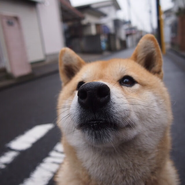 爱游戏在线登录入口-欧洲杯预选赛的佳绩：一场胜利令人鼓舞，欧洲杯预选赛战绩