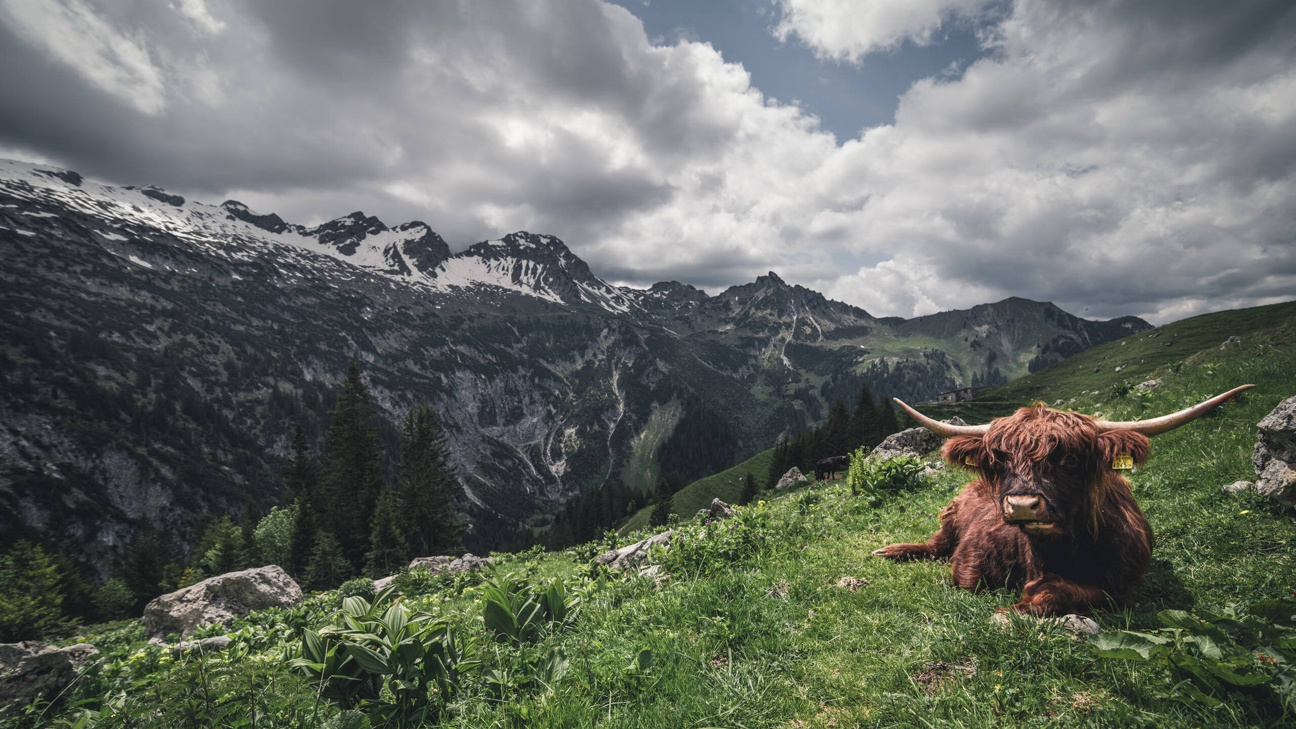中国足球航母战术研究报告,中国航母战略规划