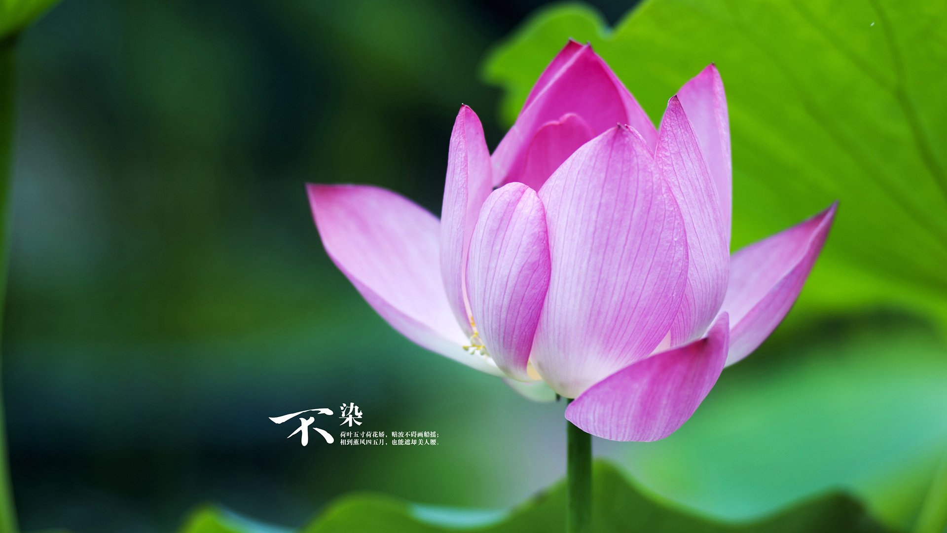 中国三人女篮多场零封对手 展现强势防守,中国三人女篮2021