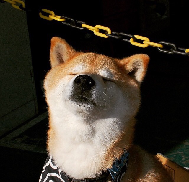 精彩绝杀致敬竞技之魂,竞技系列