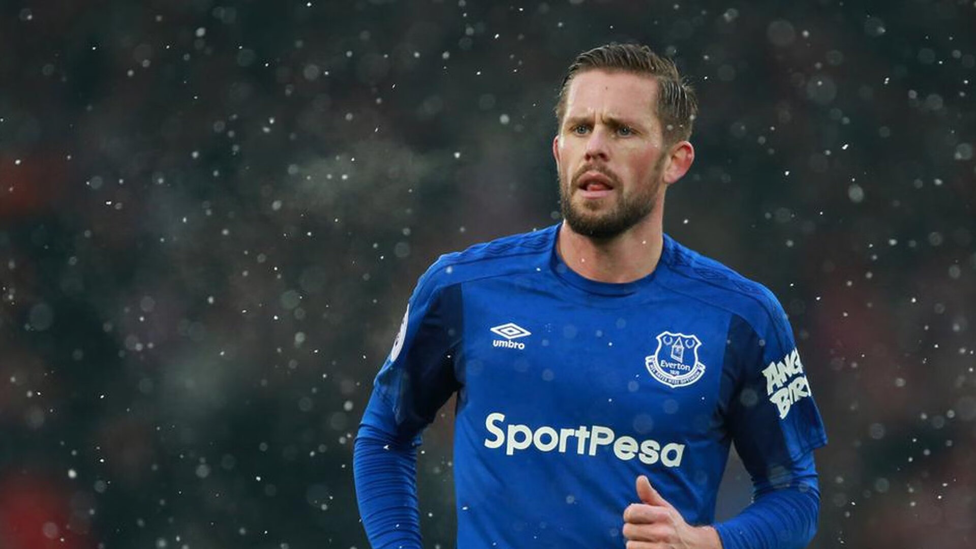 荷兰队在欧洲预赛中表现出色,晋级希望巨大