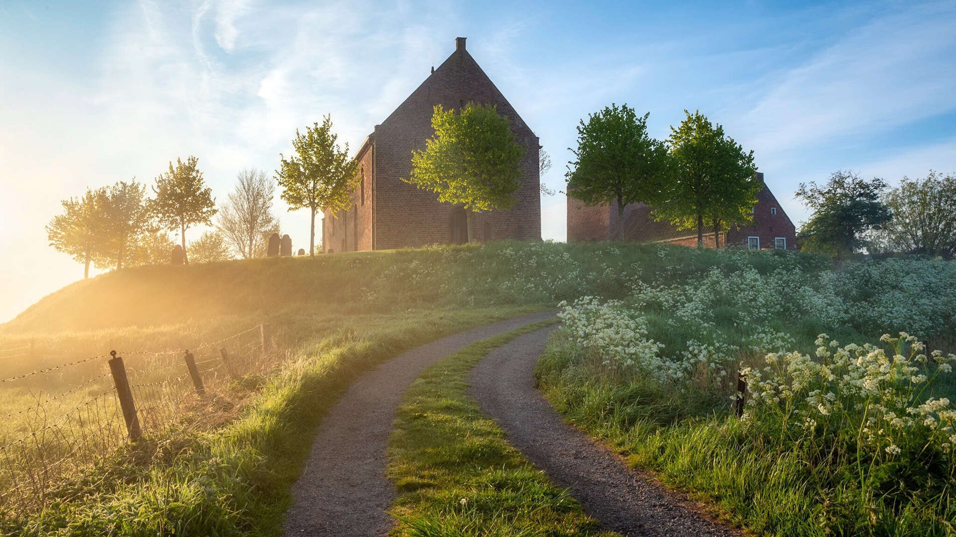 自由泳个人赛波兰新星崭露头角,波浪式自由泳